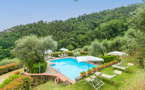 Santa Margherita: Plante, Communauté Des Plantes, Ciel, Paysage Naturel, Arbre, Parapluie, Végétation, Lot Terre, Mobilier De Jardin, Piscine