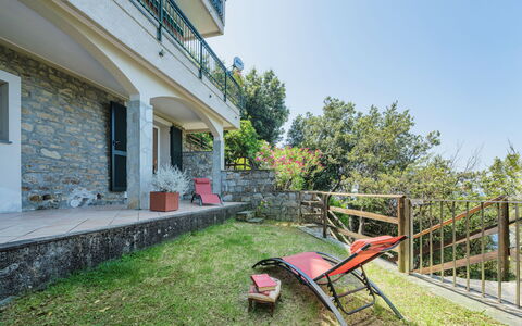 Lambrusca: Plante, Ciel, Propriété, Bâtiment, Fenêtre, Roue, Lot Terre, Mobilier De Jardin