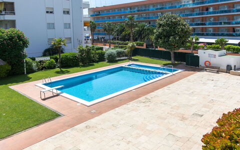 Miramar: L'Eau, Plante, Bâtiment, Propriété, Piscine, Fenêtre, Bleu Azur, Ombre, Design Urbain, Herbe