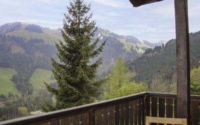 location de vacances Chalet les Pitchounes - Moléson, Fribourg, Suisse