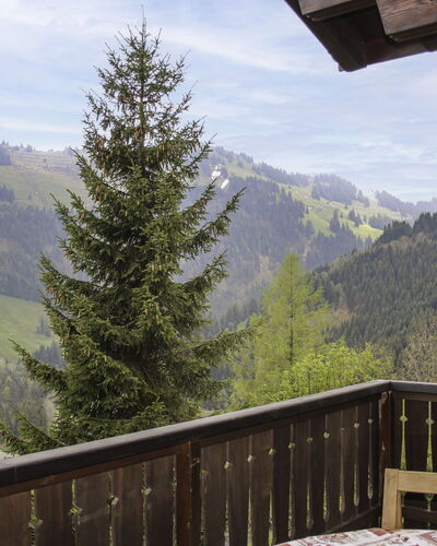 Chalet les Pitchounes