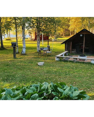 Koivulahden Reinola