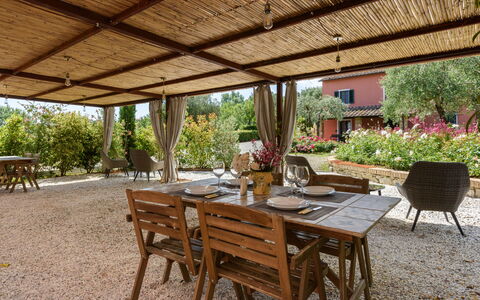 Villa Varna: Plante, Table, Meubles, Propriété, Chaise, Mobilier De Jardin, Tableau De Plein Air, Design Intérieur, Ombre, Arbre