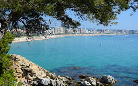 Montse: L'Eau, Plante, Ciel, Bleu Azur, Arbre, Cotiers Et Relief Océaniques, Banque, Lac, Plage, Loisir