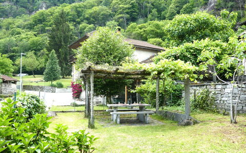 Margarita: Arbre, Végétation, Arbuste, Jardin, Zone Rurale, Printemps, Ombre, Chalet, Aménagement Paysager