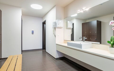 Montreux 500: Miroir, Luminaire Plomberie, Propriété, Plante, Évier, Robinet, Salle De Bains, Bâtiment, Éclairage