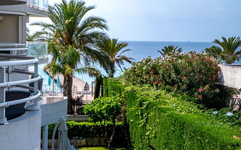 Cannes 595: L'Eau, Ciel, Propriété, Plante, Bâtiment, Nuage, Piscine, Arbre, Zone Résidentielle, Herbe