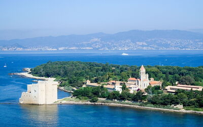 Cannes 595