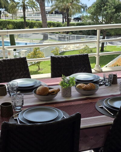 Royal Palm 595.3