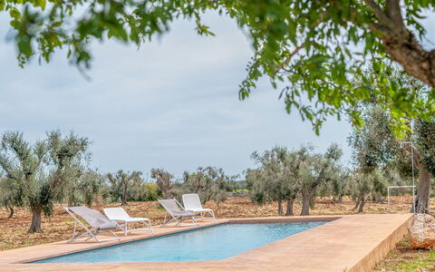 Bianco Trullo: L'Eau, Plante, Ciel, Piscine, Nuage, Arbre, Ombre, Paysage Naturel, Chaise, Zone Résidentielle