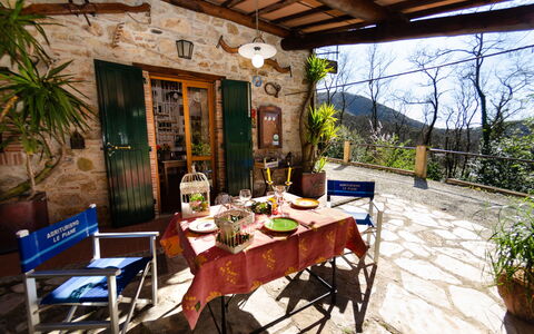 Le Piane: Plante, Table, Meubles, Pot De Fleur, Chaise, Plante D'Appartement, Bois, Arbre, Bâtiment, Design Intérieur