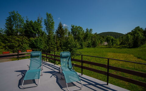 The Fox: Ciel, Plante, Propriété, Écorégion, Paysage Naturel, Mobilier De Jardin, Arbre, Lot Terre, Herbe, Loisir