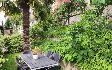 Casa dei Gelsomini: Plante, Propriété, Communauté Des Plantes, Fleur, Bâtiment, Botanique, Végétation, Mobilier De Jardin, Arbre, Biome