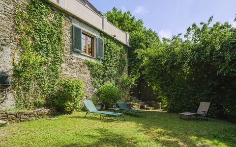 Stella: Plante, Ciel, Communauté Des Plantes, Bâtiment, Fenêtre, Paysage Naturel, Maison, Ombre, Lot Terre, Chalet
