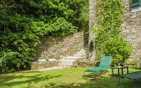 Stella: Plante, Extérieur Banc, Fenêtre, Paysage Naturel, Herbe, Bâtiment, Surface De La Route, Mobilier De Jardin, Ombre, Suppression Des Plantes Ligneuses