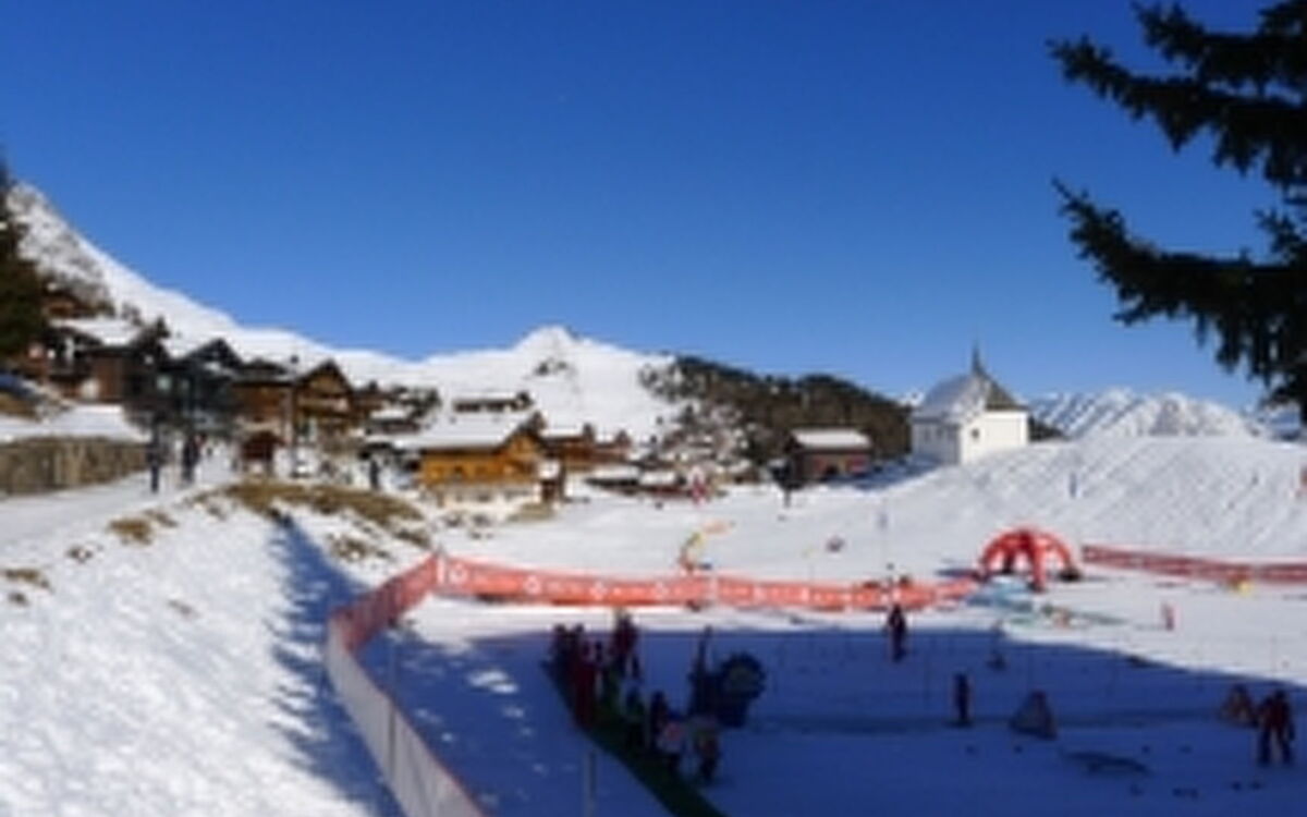 Fazi (Edelweiss)