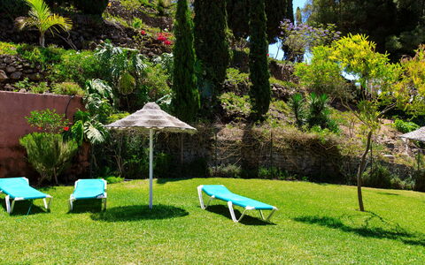 Ladera del Mar: Plante, Extérieur Banc, Communauté Des Plantes, Meubles, Vert, Arbre, Ombre, Feuille, Tableau De Plein Air, Mobilier De Jardin