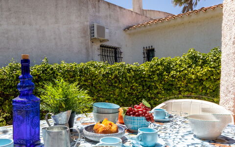 Moru: Plante, Vaisselle, Propriété, Bleu, Bleu Azur, Vert, Fenêtre, Drinkware, Vaisselle, Bouteille
