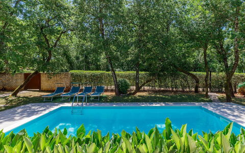 Villa Frleti: L'Eau, Fleur, Plante, Communauté Des Plantes, Piscine, Vert, Bleu Azur, Rectangle, Paysage Naturel, Ciel
