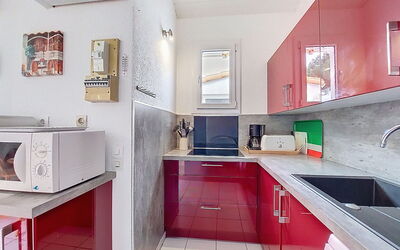 Logement:&nbsp;Les Palmyriennes 500.4