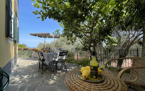 Lingueglietta 6: Table, Plante, Meubles, Chaise, Pot De Fleur, Arbre, Mobilier De Jardin, Surface De La Route, Tableau De Plein Air, Ciel