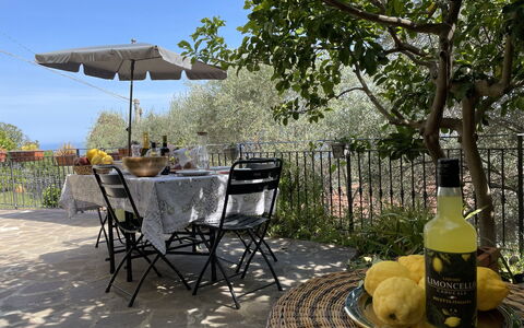 Lingueglietta 6: Table, Plante, Meubles, Propriété, Chaise, Arbre, Mobilier De Jardin, Tableau De Plein Air, Ciel, Ombre