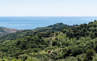 Logement:&nbsp;Terrazza Bella Vista 6.2