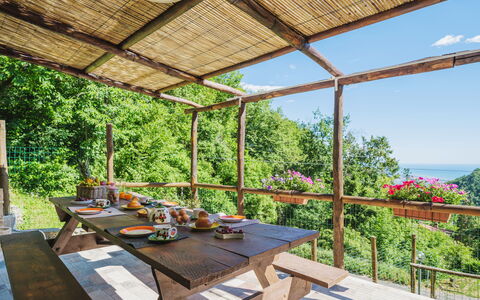 Il Nido: Plante, Table, Propriété, Meubles, Ombre, Tableau De Plein Air, Ciel, Mobilier De Jardin, Bâtiment, Pot De Fleur