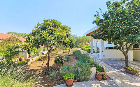 Katenas: Plante, Ciel, Propriété, Pot De Fleur, Botanique, Végétation, Plante D'Appartement, Biome, Arbre, Paysage