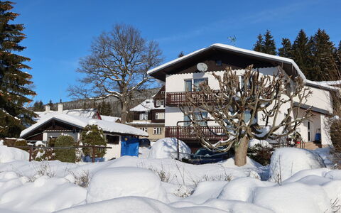 Harrachov 417: Propriété, Ciel, Table, Bois, Ombre, Sol, Mobilier De Jardin, Chaise, Sol, Tache De Bois