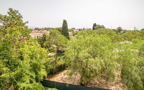 Le Bahia: Ciel, Communauté Des Plantes, Plante, Paysage Naturel, Lot Terre, Herbe, Arbuste, Couverture De Sol, Paysage, Teintes Et Ombres