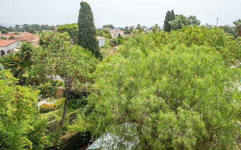 Le Bahia: Plante, Ciel, Arbre, Paysage Naturel, À Feuilles Persistantes, Suppression Des Plantes Ligneuses, Couverture De Sol, Herbe, Arbuste, Paysage