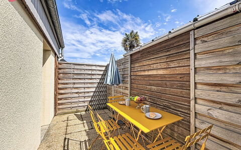Les Bégonias: Planche, Dur, Tache De Bois, Mobilier De Jardin, Balcon, Plate-Forme, Clôture, Parquet, Plante D'Appartement, Arrière-Cour