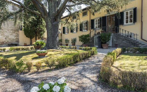 Villa San Gennaro: Plante, Bâtiment, Fenêtre, Arbre, Botanique, Végétation, Surface De La Route, Maison, Fleur, Herbe