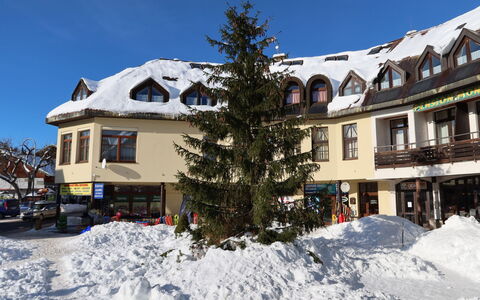 Harrachov 61: Table, Meubles, Propriété, Comptoir, Vaisselle, Cabinetry, Aliments, Plante, Fenêtre, Chaise