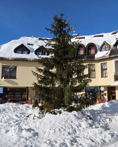 Harrachov 61