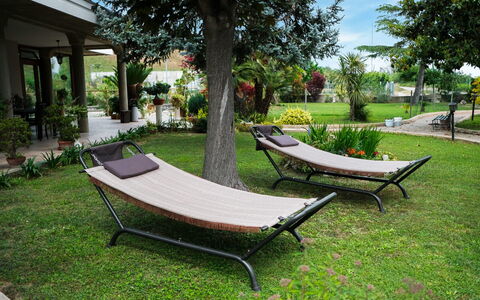Residenza Thaulero: Plante, Propriété, Arbre, Ombre, Mobilier De Jardin, Ciel, Loisir, Espace Public, Herbe, Confort