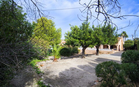 Marisol Park: Plante, Nuage, Ciel, Paysage Naturel, Arbre, Surface De La Route, Herbe, Paysage, Ombre, Arbuste