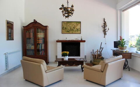 Tre Donne: Plante, Cadre, Meubles, Canapé, Plante D'Appartement, Fenêtre, Bois, Design Intérieur, Pot De Fleur, Sol