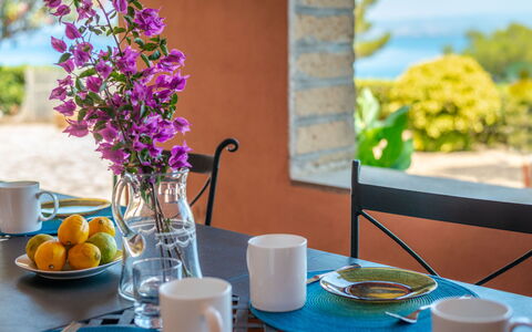 Sole: Vaisselle, Table, Propriété, Drinkware, Coupe, Bleu, Bleu Azur, Plante, Nappe De Table, Violet