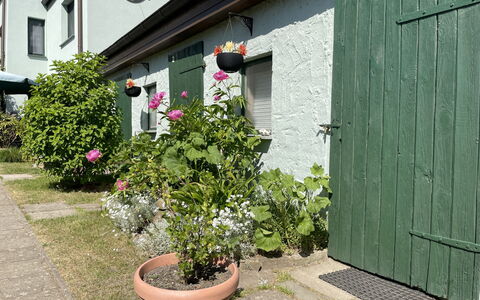 Gingst 602: Plante, Fleur, Propriété, Fenêtre, Bâtiment, Pot De Fleur, Mur, Herbe, Maison, Siding