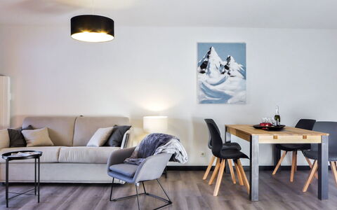 Logement:&nbsp;L'Espace Montagne 480.16