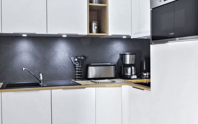 Logement:&nbsp;L'Espace Montagne 480.16