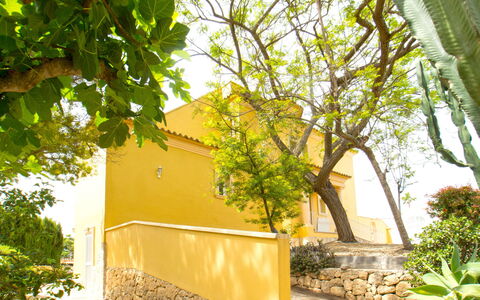 Villa Acuario: Plante, Meubles, Propriété, Fenêtre, Chaise, Bâtiment, Bois, Éclairage, Pot De Fleur, Architecture