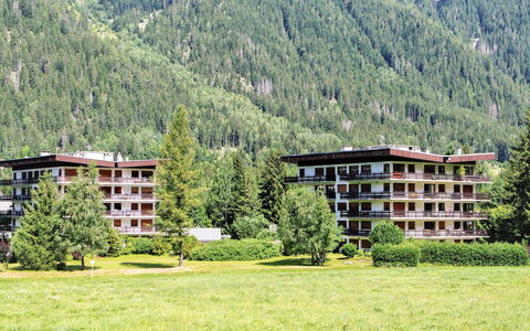 Chamonix 490: Bâtiment, Plante, Montagne, Écorégion, Arbre, Paysage Naturel, Montagnes, Maison, Lot Terre, Pente