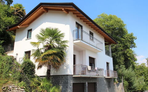 Lucina: Ciel, Plante, Bâtiment, Fenêtre, Arbre, Maison, Roue, Lot Terre, Arecales