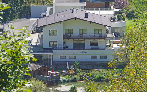 See 208: Bâtiment, Plante, Fenêtre, Feuille, Botanique, Maison, Jaune, Design Urbain, Arbre, Biome