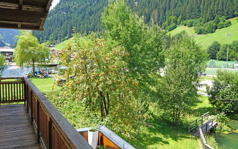 See 208: Plante, Propriété, Communauté Des Plantes, Vert, Feuille, La Nature, Montagne, Arbre, Paysage Naturel, Botanique