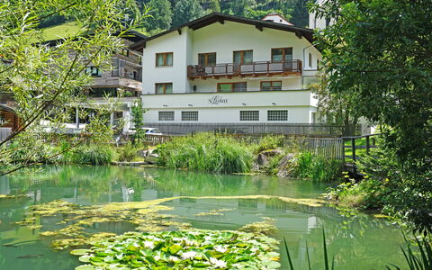 See 208: L'Eau, Plante, Bâtiment, Fenêtre, La Nature, Botanique, Arbre, Paysage Naturel, Végétation, Fleur