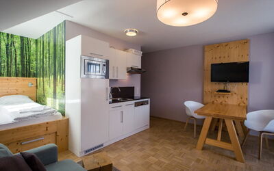 Logement:&nbsp;Studio #13 mit Balkon 121.6